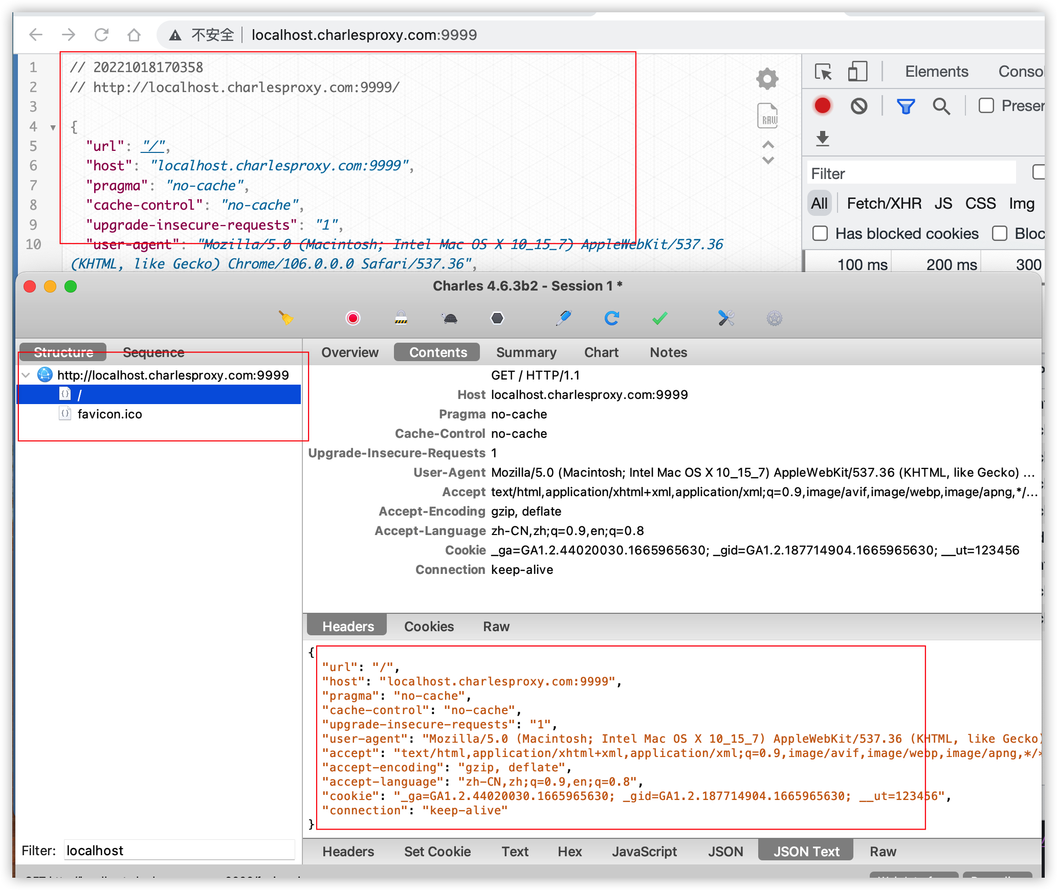 Charles Proxy本地抓包成功界面 - 使用localhost.charlesproxy.net