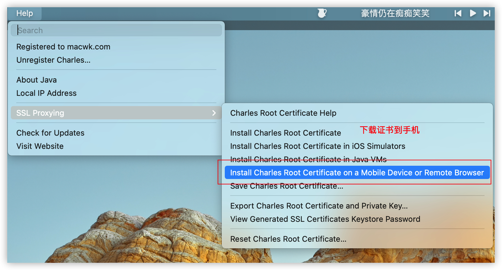 Charles Proxy手机端证书安装步骤1 - 访问chls.pro/ssl