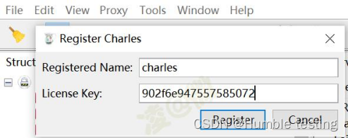 Charles Proxy注册信息输入界面，显示Name和Key输入框以及Register按钮